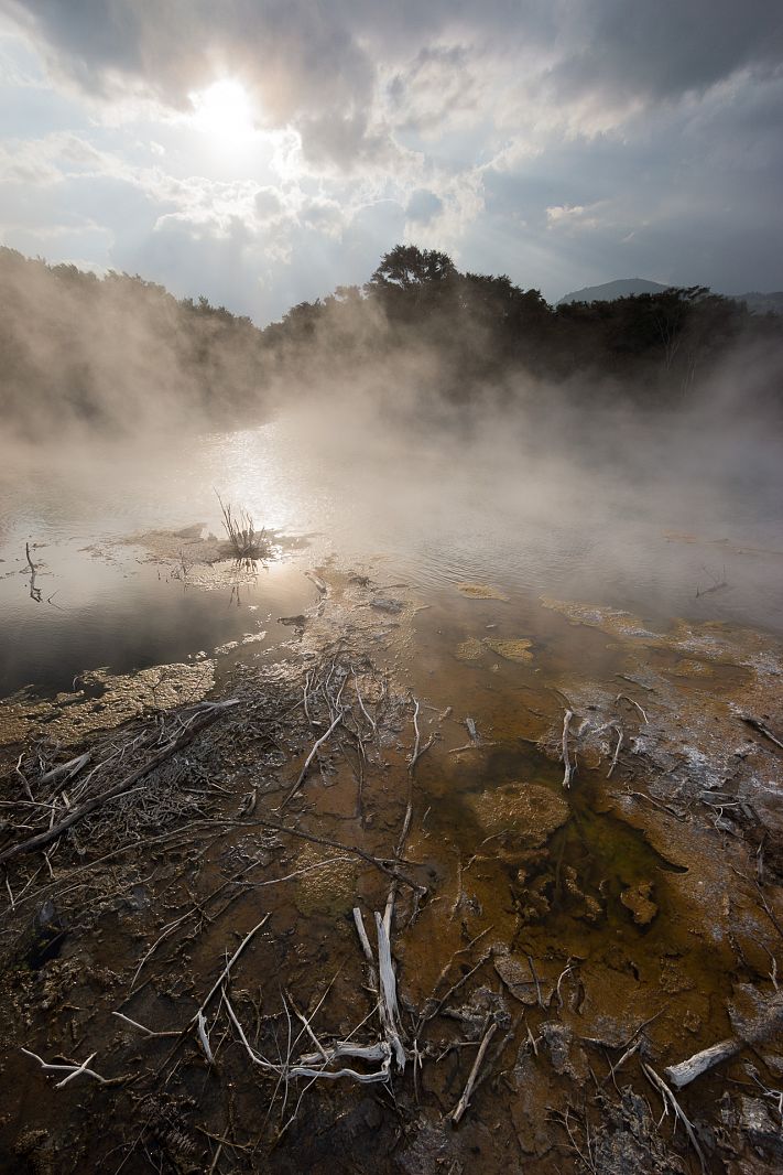 Kuirau Park steaming pond, Rotorua, New Zealand